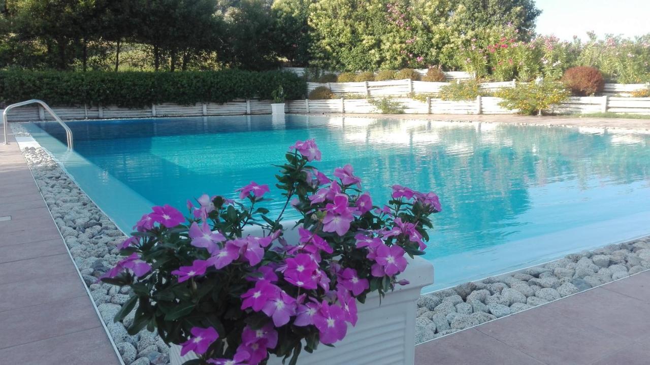 Tenuta Agrituristica Castellesi 斯奎拉切 外观 照片