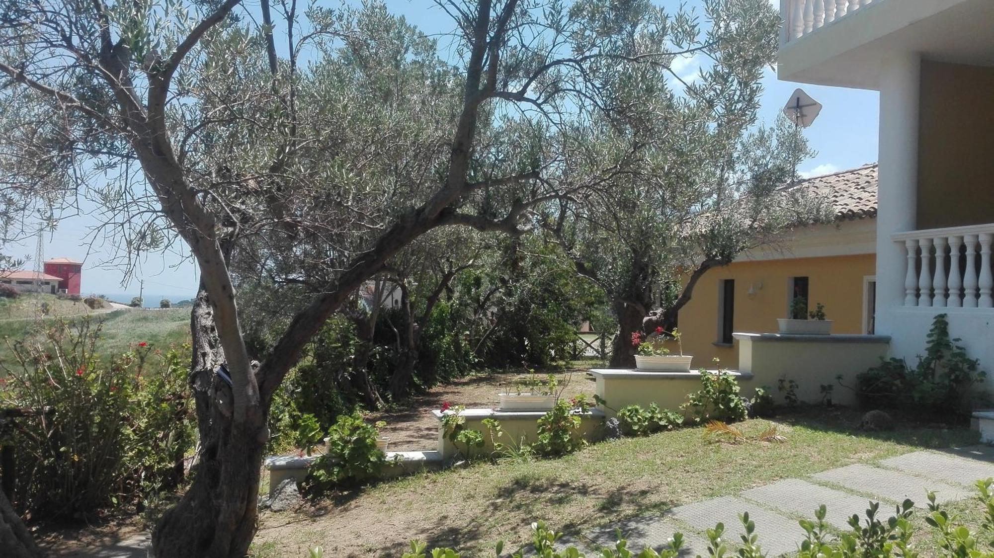 Tenuta Agrituristica Castellesi 斯奎拉切 外观 照片